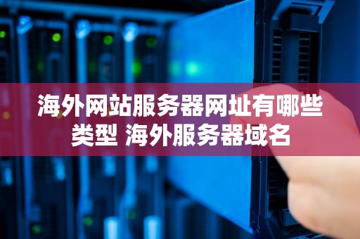 海外网站服务器网址有哪些类型 海外服务器域名