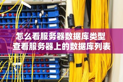 怎么看服务器数据库类型 查看服务器上的数据库列表的命令是