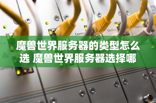魔兽世界服务器的类型怎么选 魔兽世界服务器选择哪个