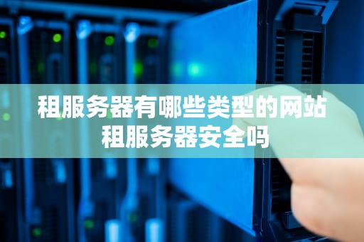 租服务器有哪些类型的网站 租服务器安全吗
