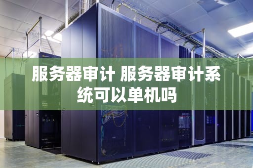 服务器审计 服务器审计系统可以单机吗