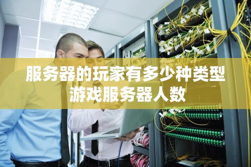 服务器的玩家有多少种类型 游戏服务器人数