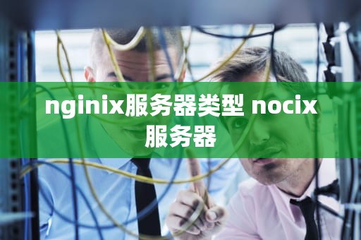 nginix服务器类型 nocix服务器