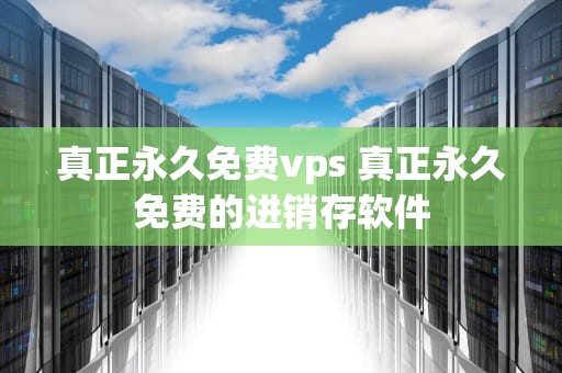 真正永久免费vps 真正永久免费的进销存软件