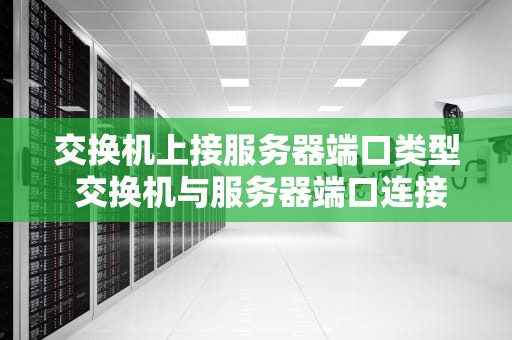 交换机上接服务器端口类型 交换机与服务器端口连接类型