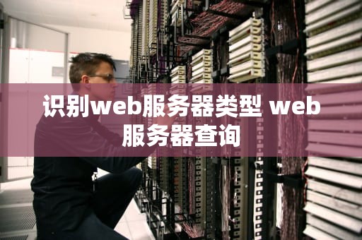 识别web服务器类型 web服务器查询