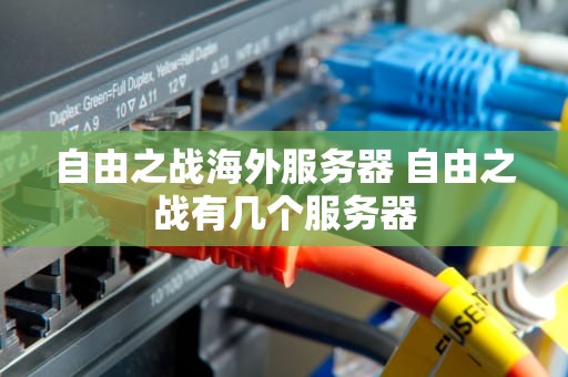 自由之战海外服务器 自由之战有几个服务器