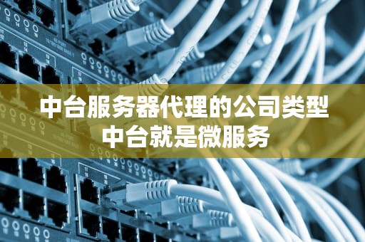 中台服务器代理的公司类型 中台就是微服务