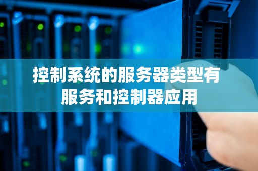 控制系统的服务器类型有 服务和控制器应用