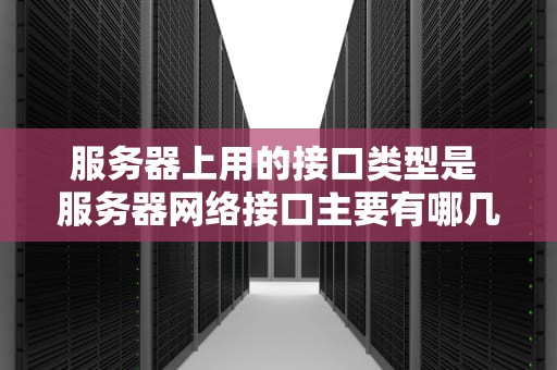 服务器上用的接口类型是 服务器网络接口主要有哪几种