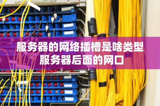 服务器的网络插槽是啥类型 服务器后面的网口