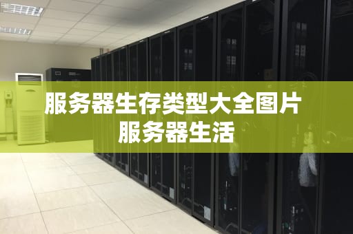 服务器生存类型大全图片 服务器生活