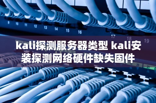 kali探测服务器类型 kali安装探测网络硬件缺失固件