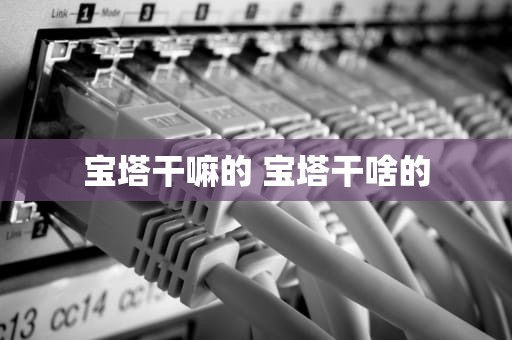 宝塔干嘛的 宝塔干啥的