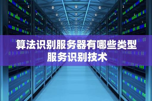 算法识别服务器有哪些类型 服务识别技术