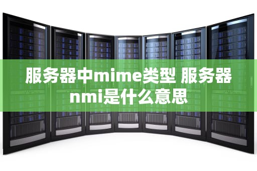 服务器中mime类型 服务器nmi是什么意思