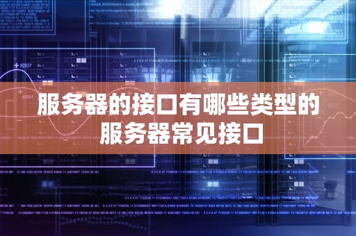 服务器的接口有哪些类型的 服务器常见接口