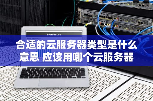 合适的云服务器类型是什么意思 应该用哪个云服务器