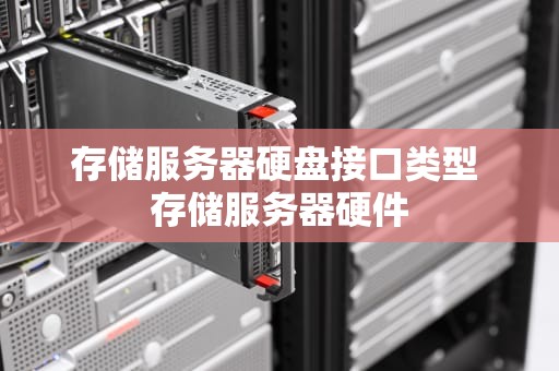 存储服务器硬盘接口类型 存储服务器硬件