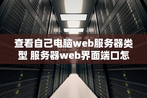 查看自己电脑web服务器类型 服务器web界面端口怎么查