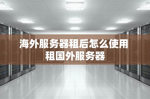 海外服务器租后怎么使用 租国外服务器