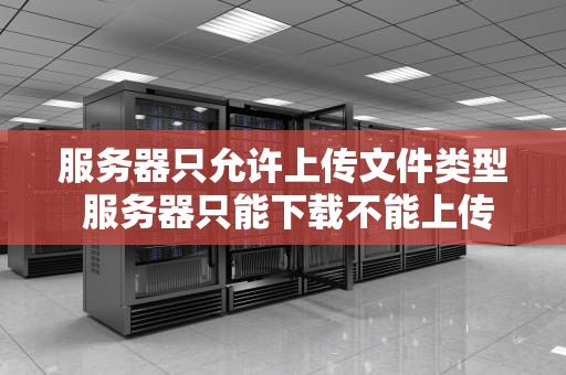 服务器只允许上传文件类型 服务器只能下载不能上传