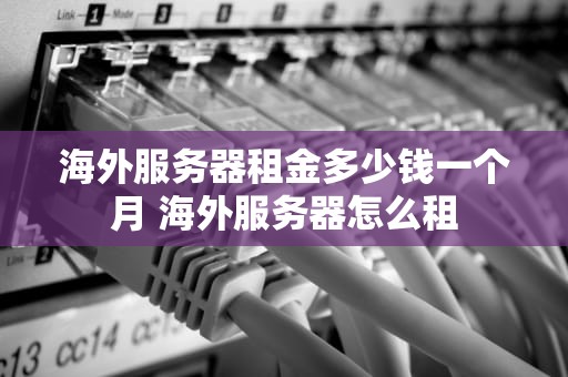 海外服务器租金多少钱一个月 海外服务器怎么租