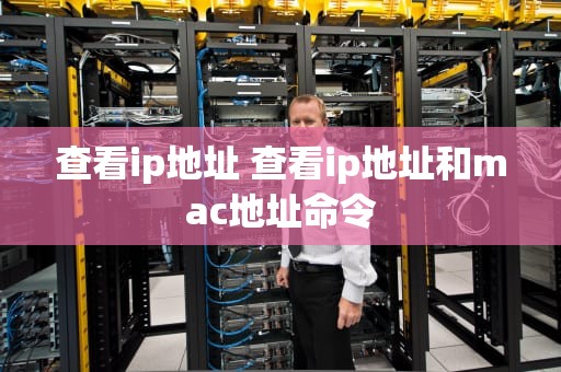 查看ip地址 查看ip地址和mac地址命令
