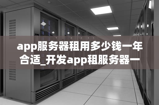 app服务器租用多少钱一年合适_开发app租服务器一年多少钱_App服务器租用一年的费用分析