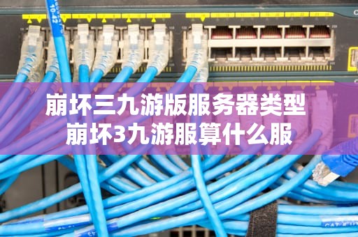 崩坏三九游版服务器类型 崩坏3九游服算什么服