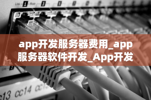 app开发服务器费用_app服务器软件开发_App开发服务器费用的全面解析