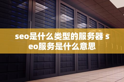 seo是什么类型的服务器 seo服务是什么意思