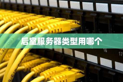后室服务器类型用哪个