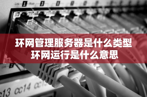 环网管理服务器是什么类型 环网运行是什么意思