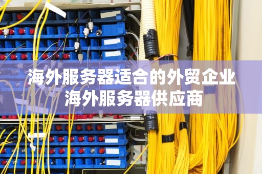 海外服务器适合的外贸企业 海外服务器供应商