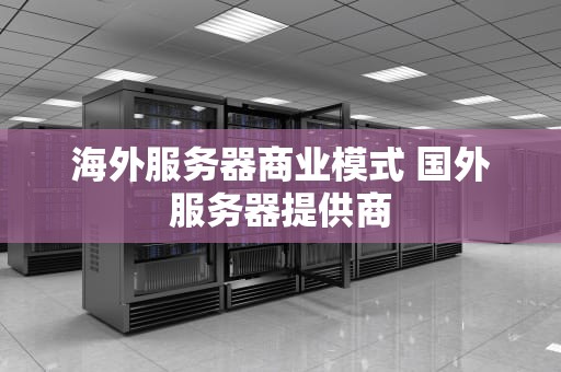 海外服务器商业模式 国外服务器提供商