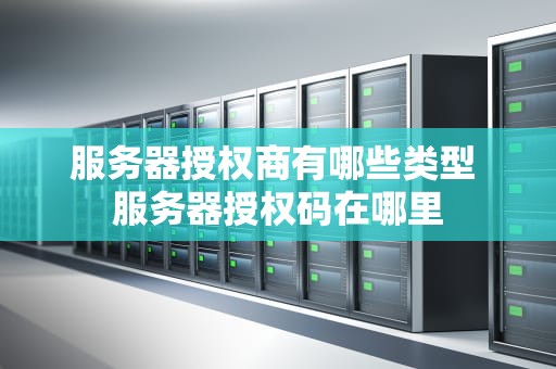服务器授权商有哪些类型 服务器授权码在哪里