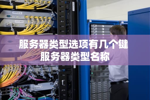 服务器类型选项有几个键 服务器类型名称