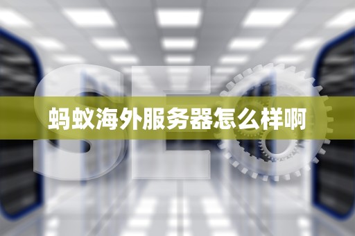 蚂蚁海外服务器怎么样啊
