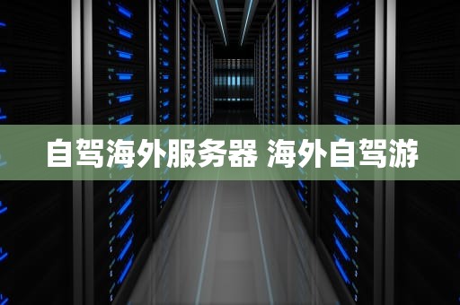 自驾海外服务器 海外自驾游