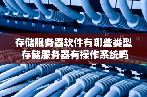 存储服务器软件有哪些类型 存储服务器有操作系统吗