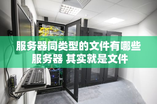 服务器同类型的文件有哪些 服务器 其实就是文件