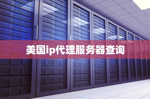 美国ip代理服务器查询
