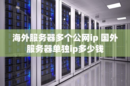 海外服务器多个公网ip 国外服务器单独ip多少钱