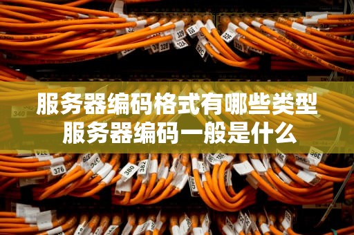 服务器编码格式有哪些类型 服务器编码一般是什么