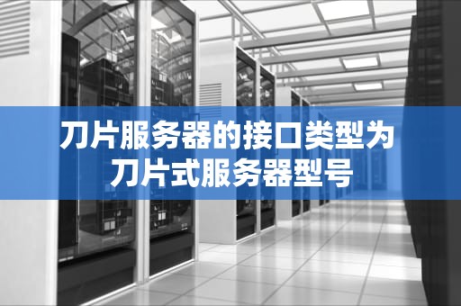 刀片服务器的接口类型为 刀片式服务器型号