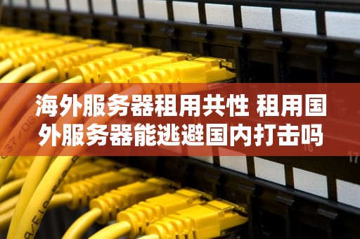 海外服务器租用共性 租用国外服务器能逃避国内打击吗
