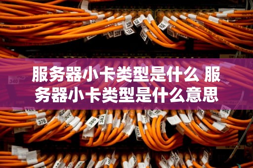 服务器小卡类型是什么 服务器小卡类型是什么意思