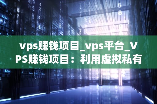 vps赚钱项目_vps平台_VPS赚钱项目：利用虚拟私有服务器实现盈利