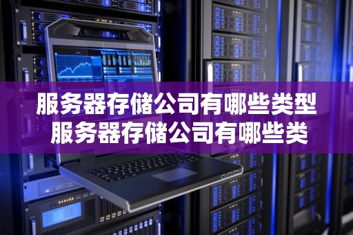 服务器存储公司有哪些类型 服务器存储公司有哪些类型的